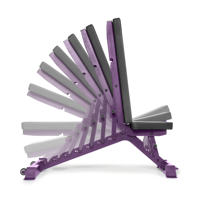 The Buzz-Saw Heavy-Duty Adjustable Bench by Bells of Steel features a purple frame with multiple backrest positions, ranging from flat to upright. Set against a plain white background, this versatile bench offers durability and functionality for varied workouts.