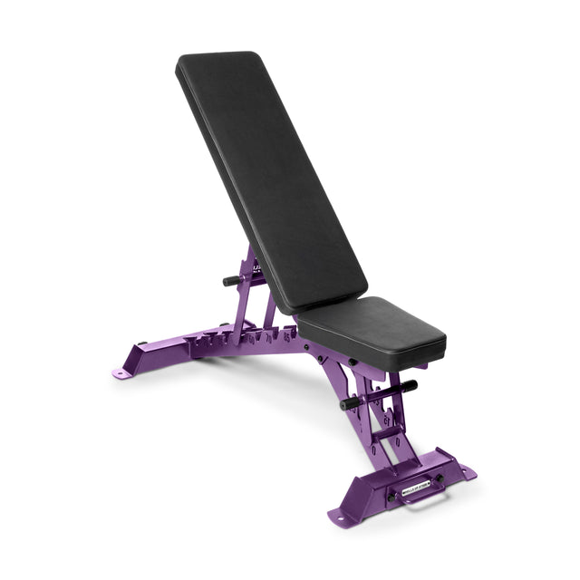 The Buzz-Saw Heavy-Duty Adjustable Bench by Bells of Steel features a black cushioned seat and purple metal frame. It's slightly inclined, offers sturdy support for various exercises, and is designed for space-efficient storage.